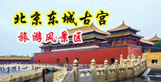 少妇粉嫩小穴被肏流水视频中国北京-东城古宫旅游风景区